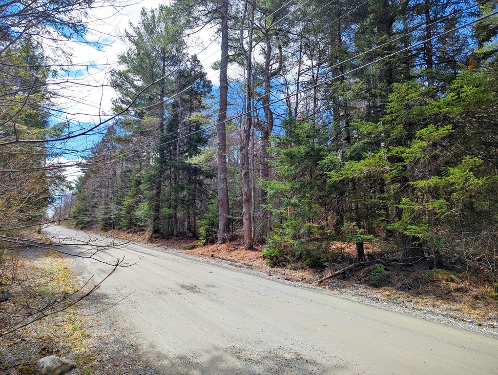 0 Johnson Road Becket, MA 01223 - Photo 8 of 20