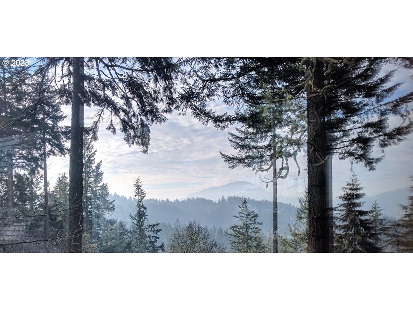2780 Cresta De Ruta Street Eugene, OR 97403 - Photo 47 of 48 a view of mountain view with lots of trees