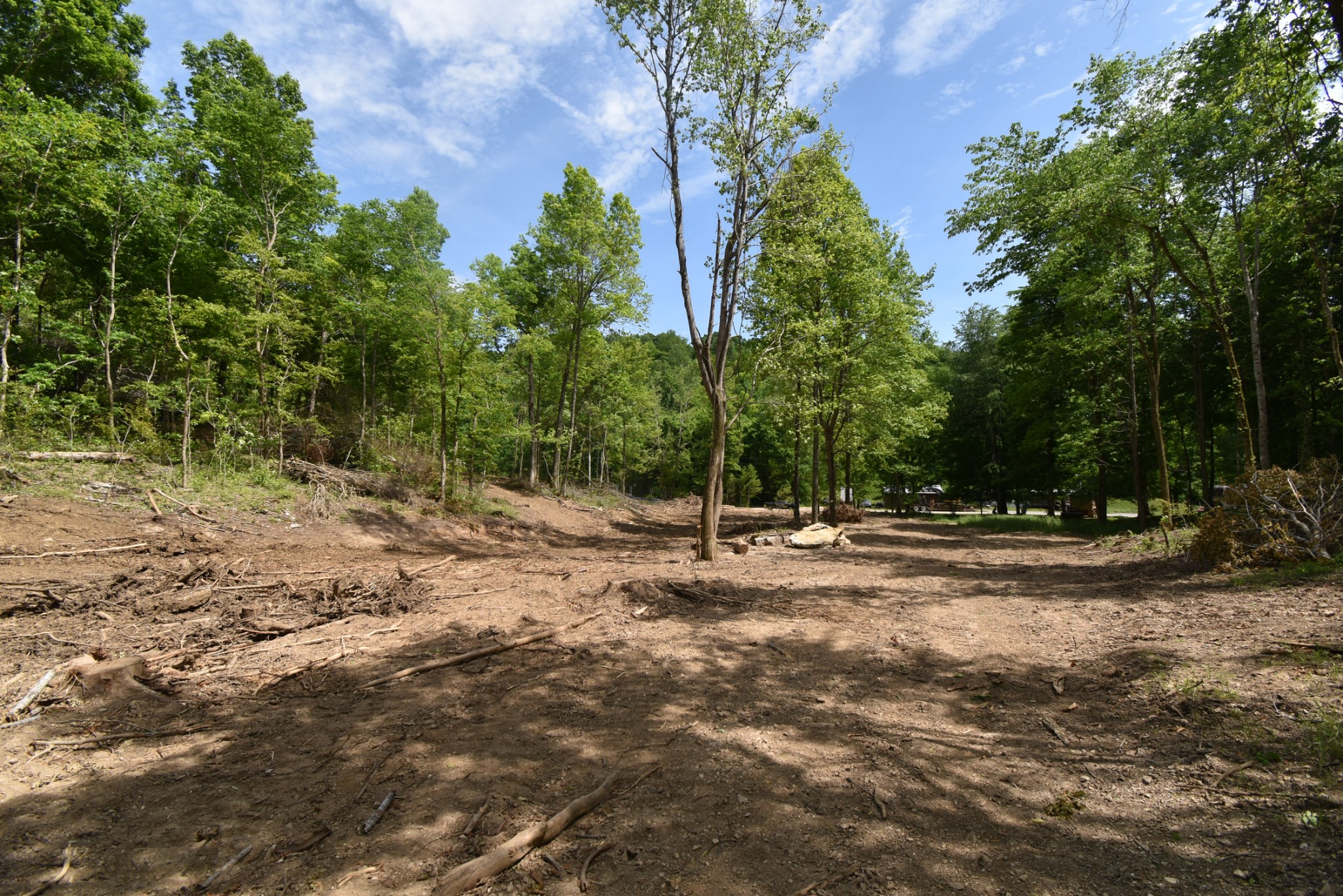 0 Porter Hollow Road Linden, TN 37096 - Photo 1 of 16 Gallery Image 1