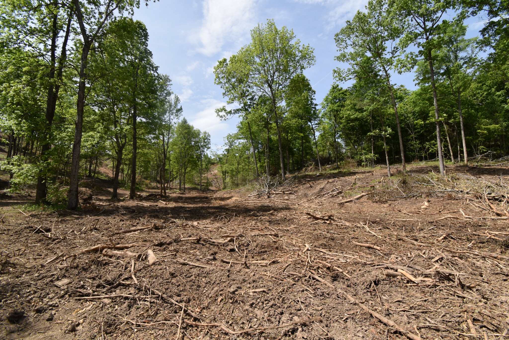 0 Porter Hollow Road Linden, TN 37096 - Photo 14 of 16 Gallery Image 14
