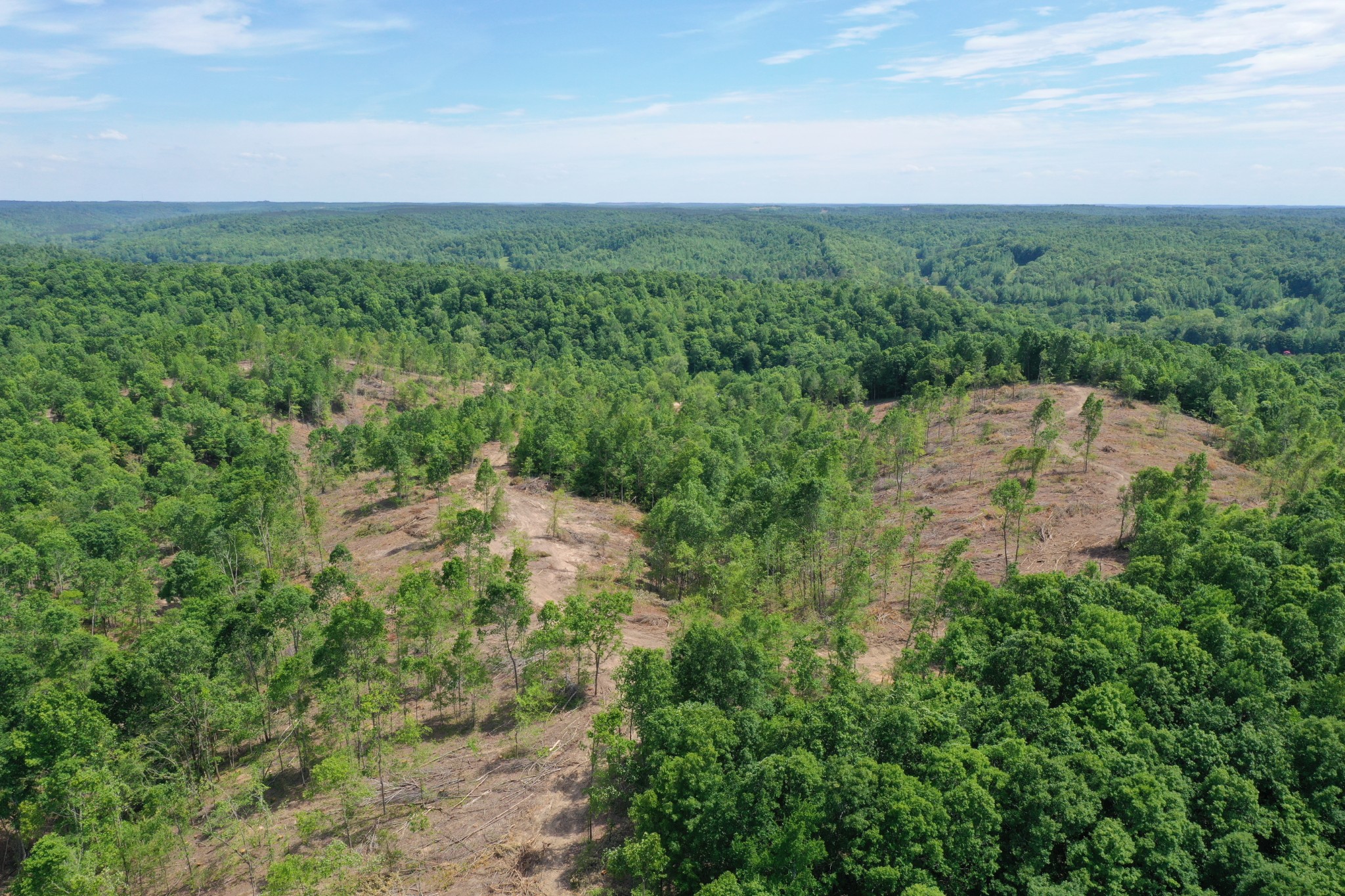 0 Porter Hollow Road Linden, TN 37096 - Photo 3 of 16 Gallery Image 3