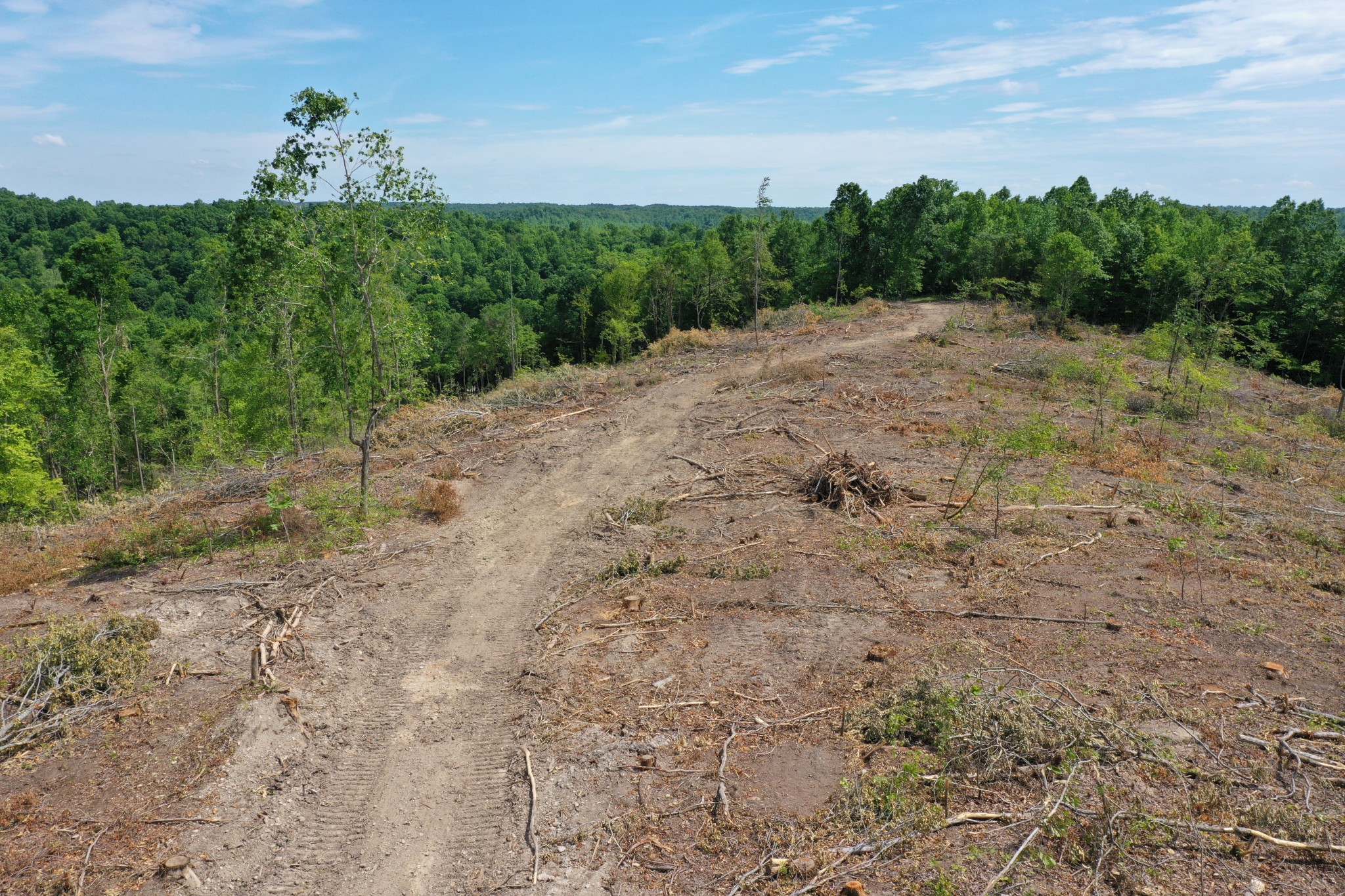 0 Porter Hollow Road Linden, TN 37096 - Photo 4 of 16 Gallery Image 4