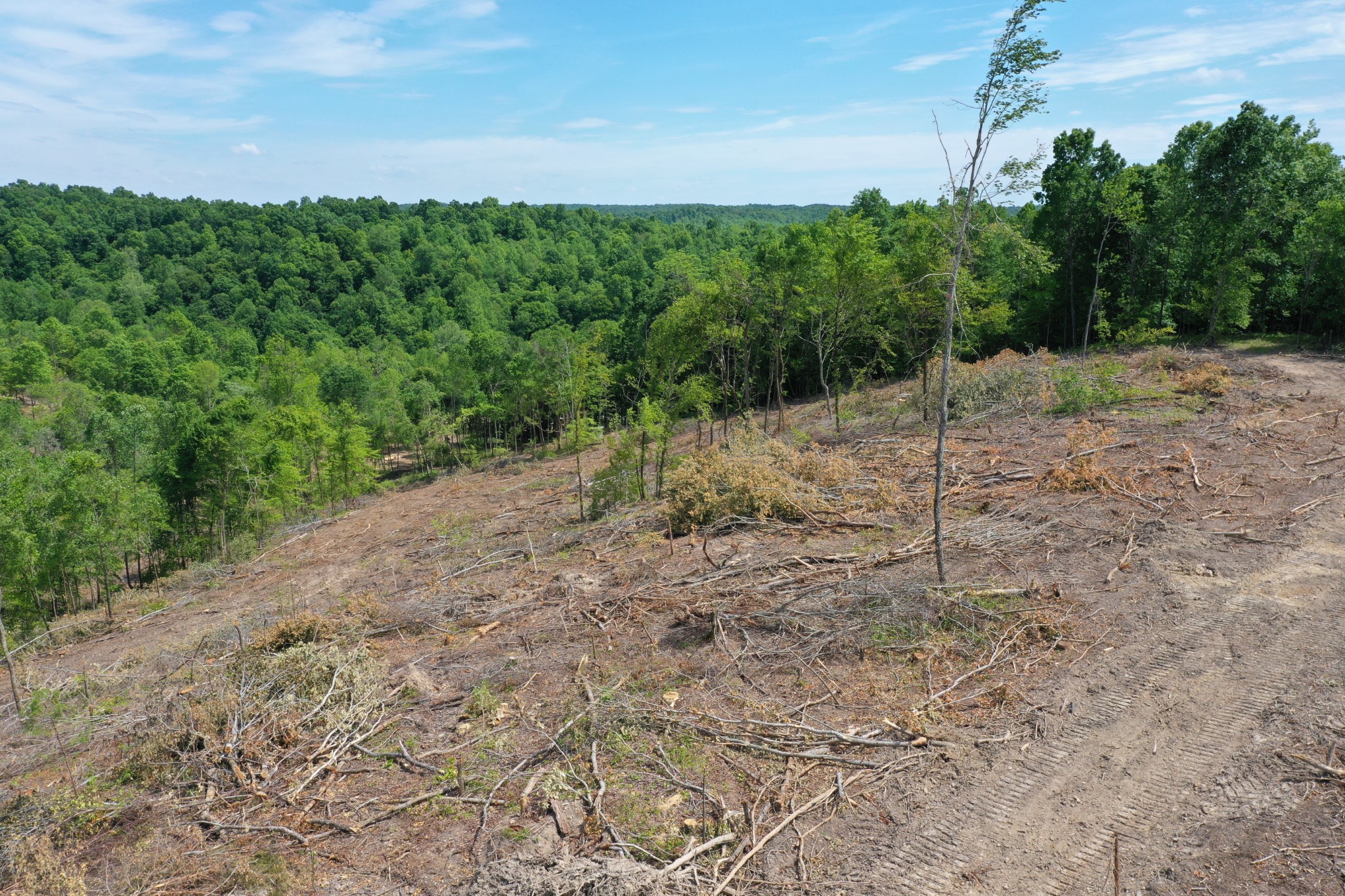 0 Porter Hollow Road Linden, TN 37096 - Photo 6 of 16 Gallery Image 6
