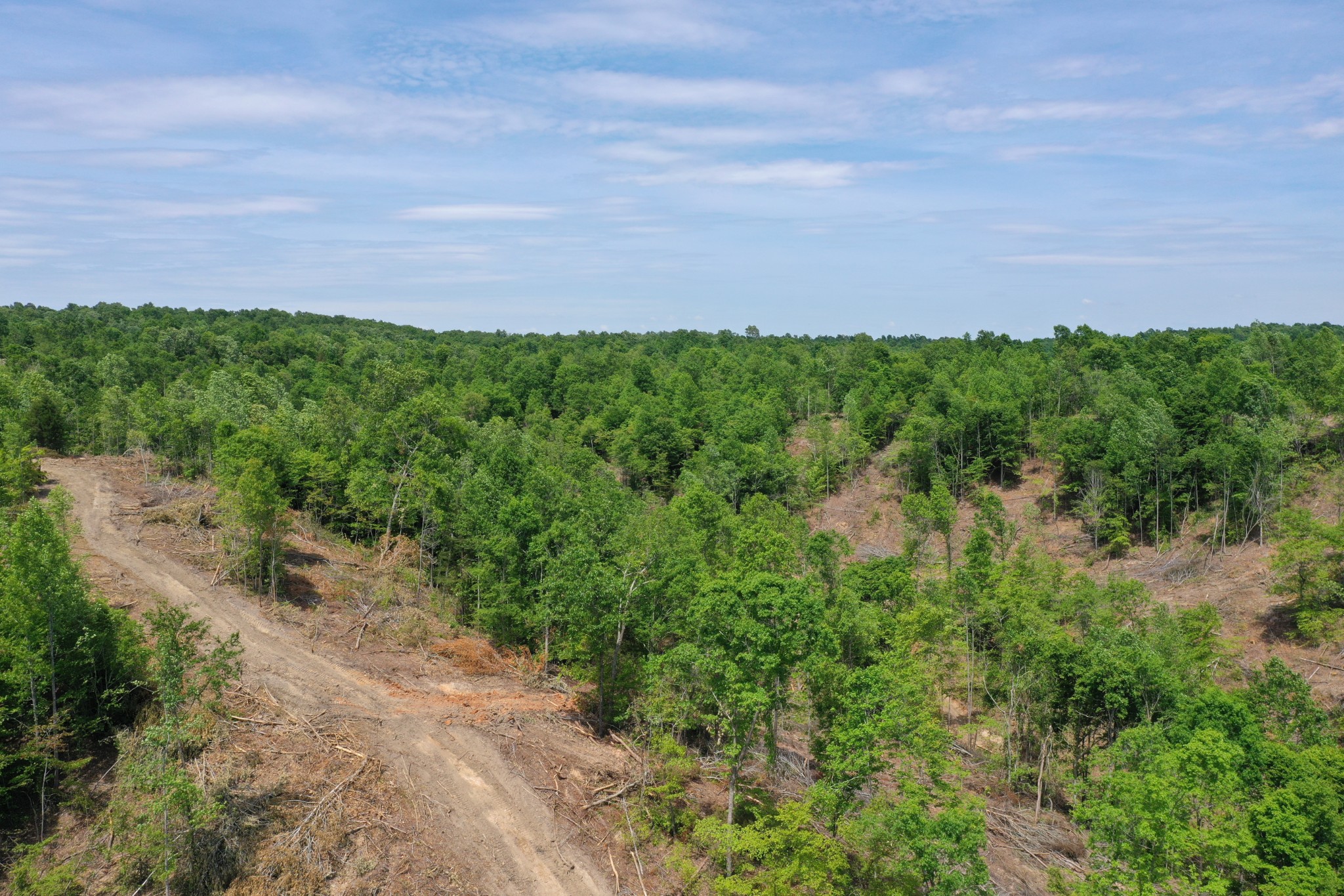 0 Porter Hollow Road Linden, TN 37096 - Photo 7 of 16 Gallery Image 7
