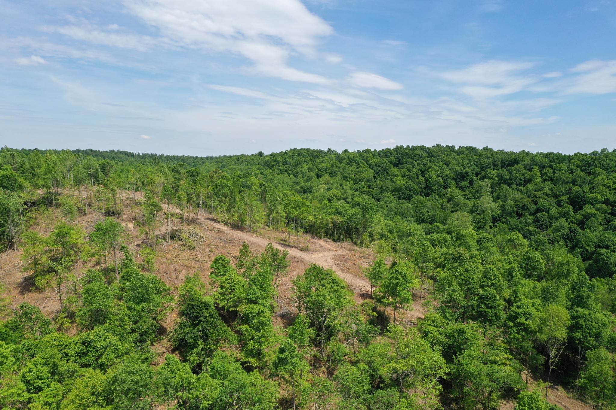 0 Porter Hollow Road Linden, TN 37096 - Photo 8 of 16 Gallery Image 8