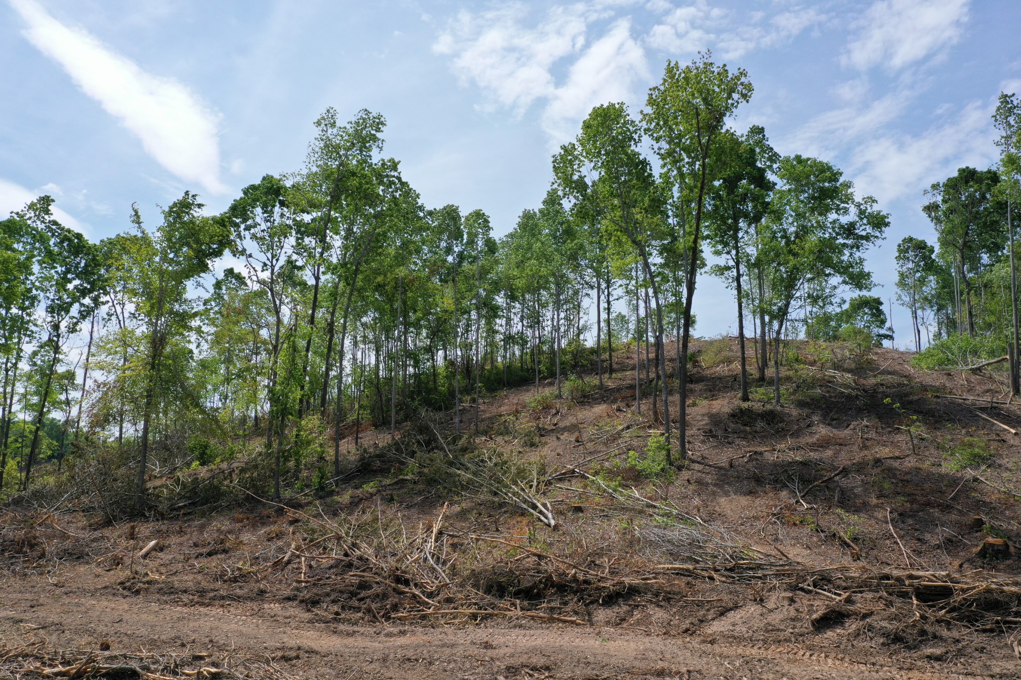 0 Porter Hollow Road Linden, TN 37096 - Photo 9 of 16 Gallery Image 9