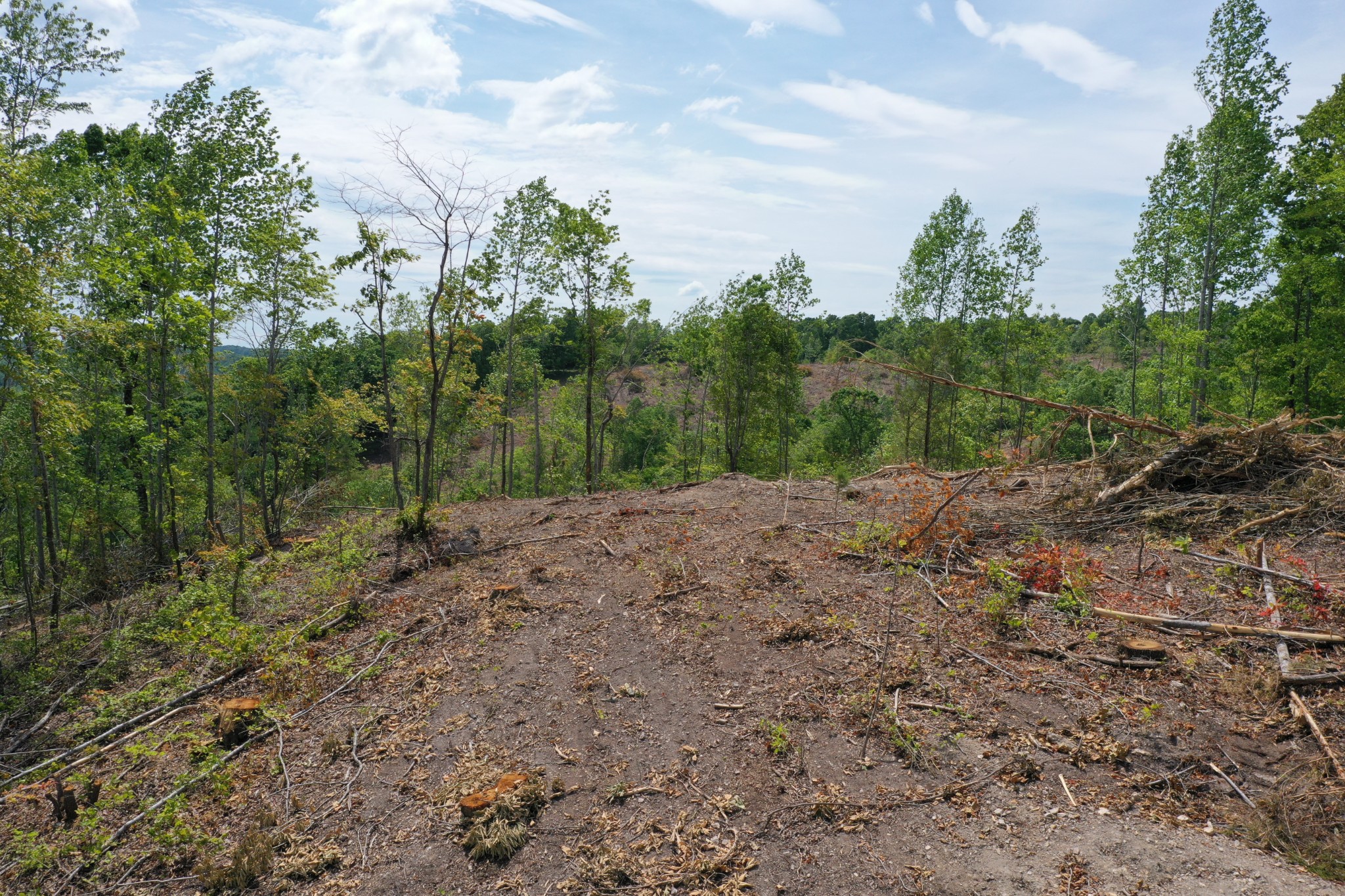 0 Porter Hollow Road Linden, TN 37096 - Photo 10 of 16 Gallery Image 10