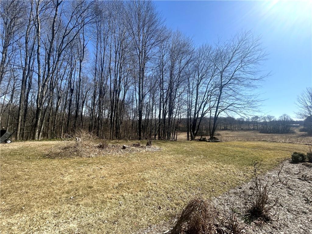 194 Nutt Road Grove City, PA 16127 - Photo 37 of 38 Back Yard