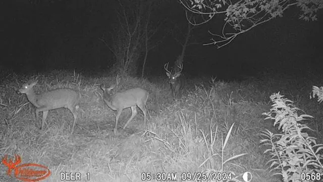 $485,000 | S2986 Barth Road, Cross, WI 54629