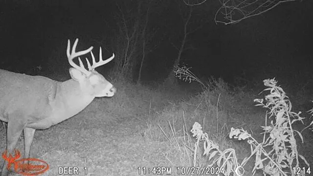 $485,000 | S2986 Barth Road, Cross, WI 54629