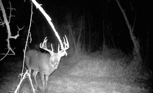 S2986 Barth Road Cross, WI 54629 - Photo 2 of 29 unnamed (4)