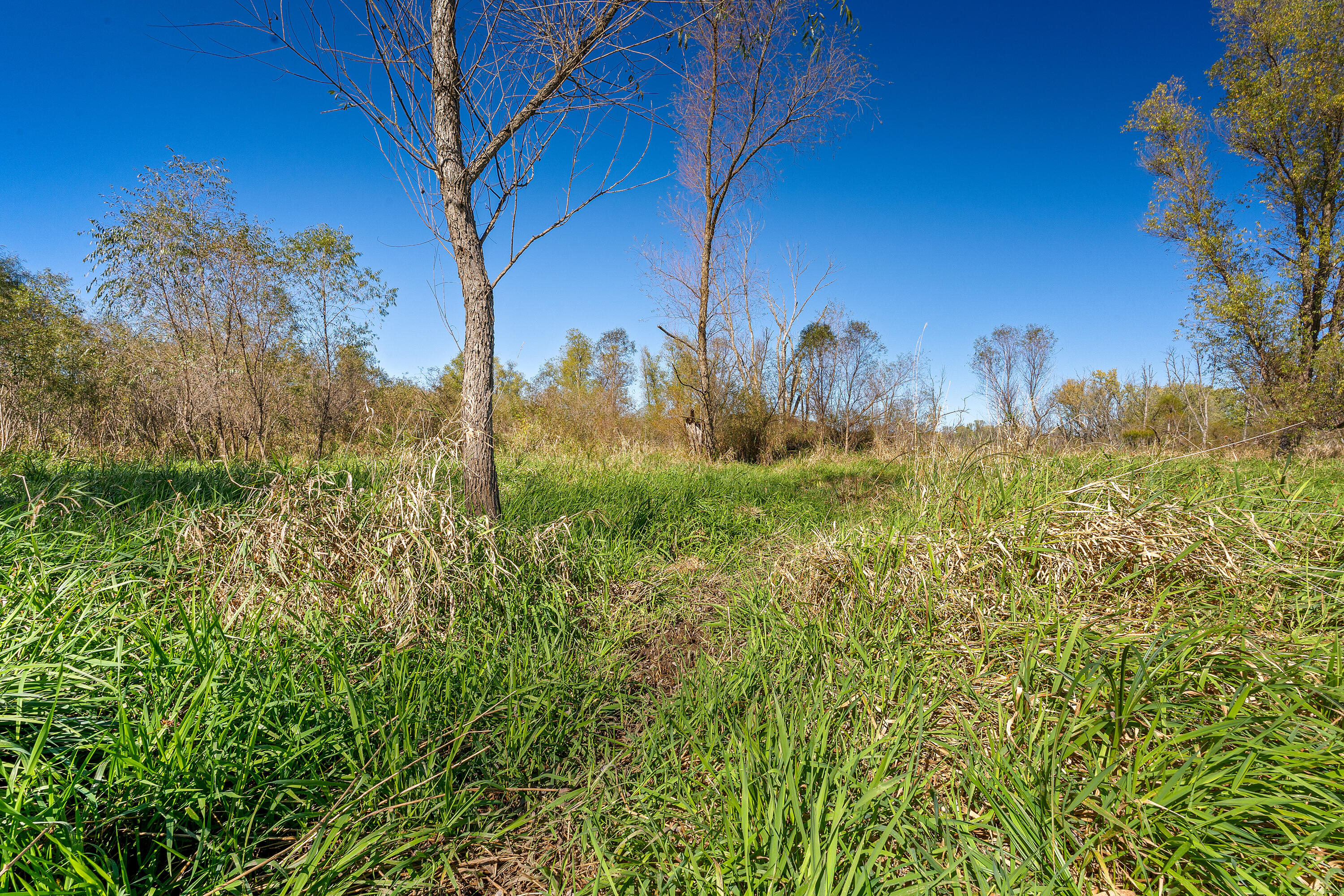 S2986 Barth Road Cross, WI 54629 - Photo 3 of 29 02__DSC1934_mls