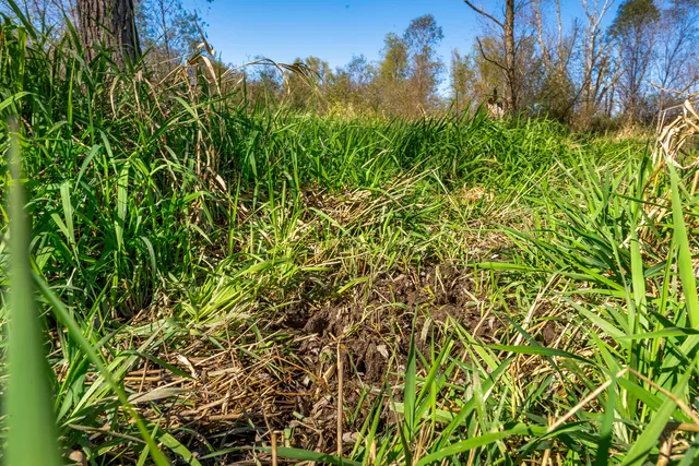 $485,000 | S2986 Barth Road, Cross, WI 54629