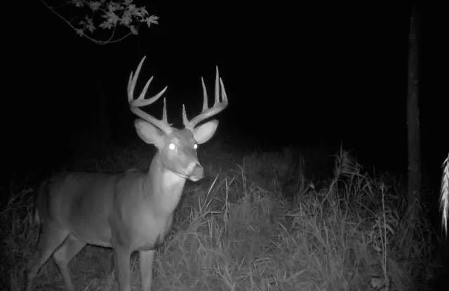 $485,000 | S2986 Barth Road, Cross, WI 54629