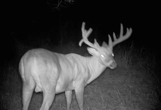 $485,000 | S2986 Barth Road, Cross, WI 54629