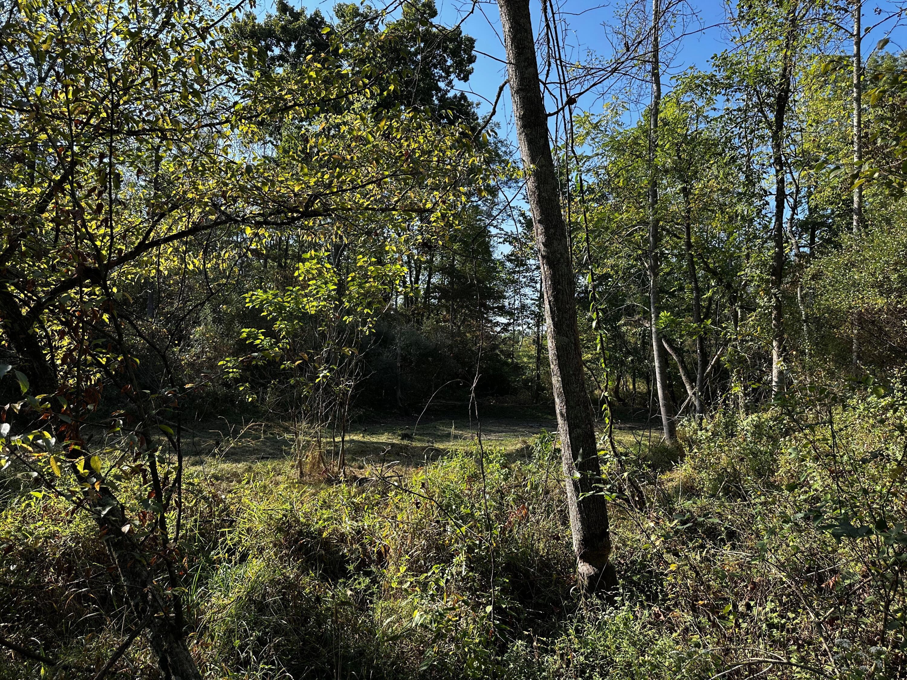 0 Dutch Ridge Road, Unit TRACT 4 AT DUTCH RIDGE) New Straitsville, OH 43766 - Photo 27 of 53 20240920_140316683_iOS