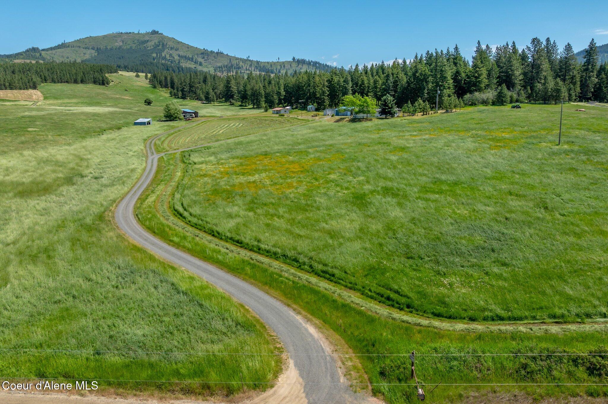 10207 Sanders Road Tensed, ID 83870 - Photo 4 of 69 RealVue - 2025 0610 - 10207 Sanders Rd-7