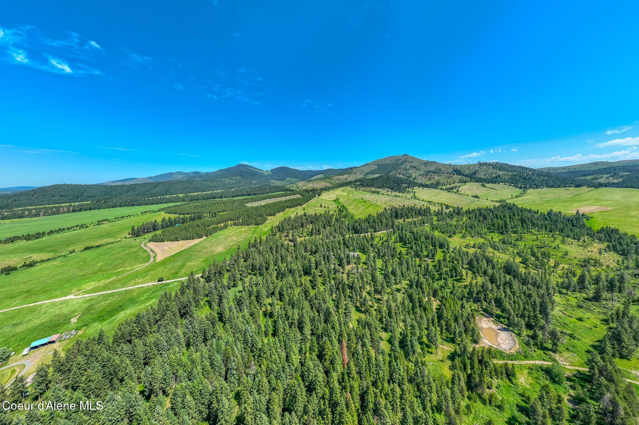 10207 Sanders Road Tensed, ID 83870 - Photo 52 of 69 RealVue - 2025 0610 - 10207 Sanders Rd-6