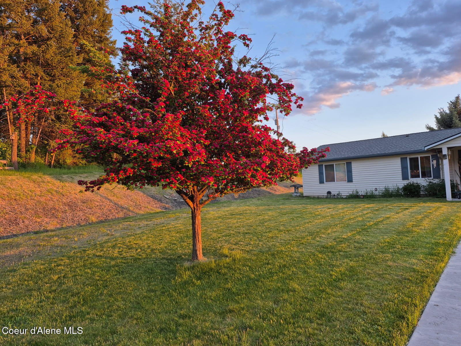 10207 Sanders Road Tensed, ID 83870 - Photo 65 of 69 image000000 (2)