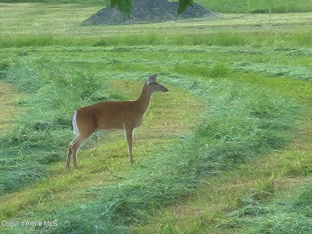 $689,900 | 10207 Sanders Road, Tensed, ID 83870