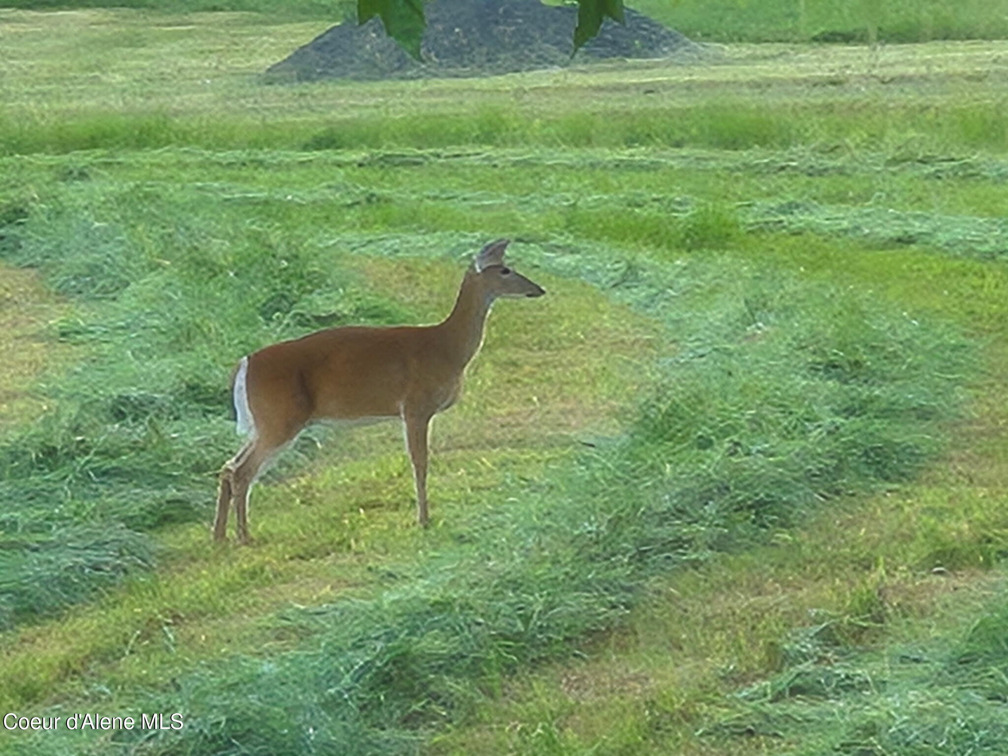 10207 Sanders Road Tensed, ID 83870 - Photo 66 of 69 7497814453298037195