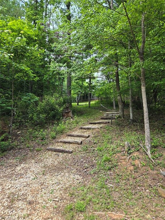 1984 Horseshoe Road Westfield, NC 27053 - Photo 14 of 47