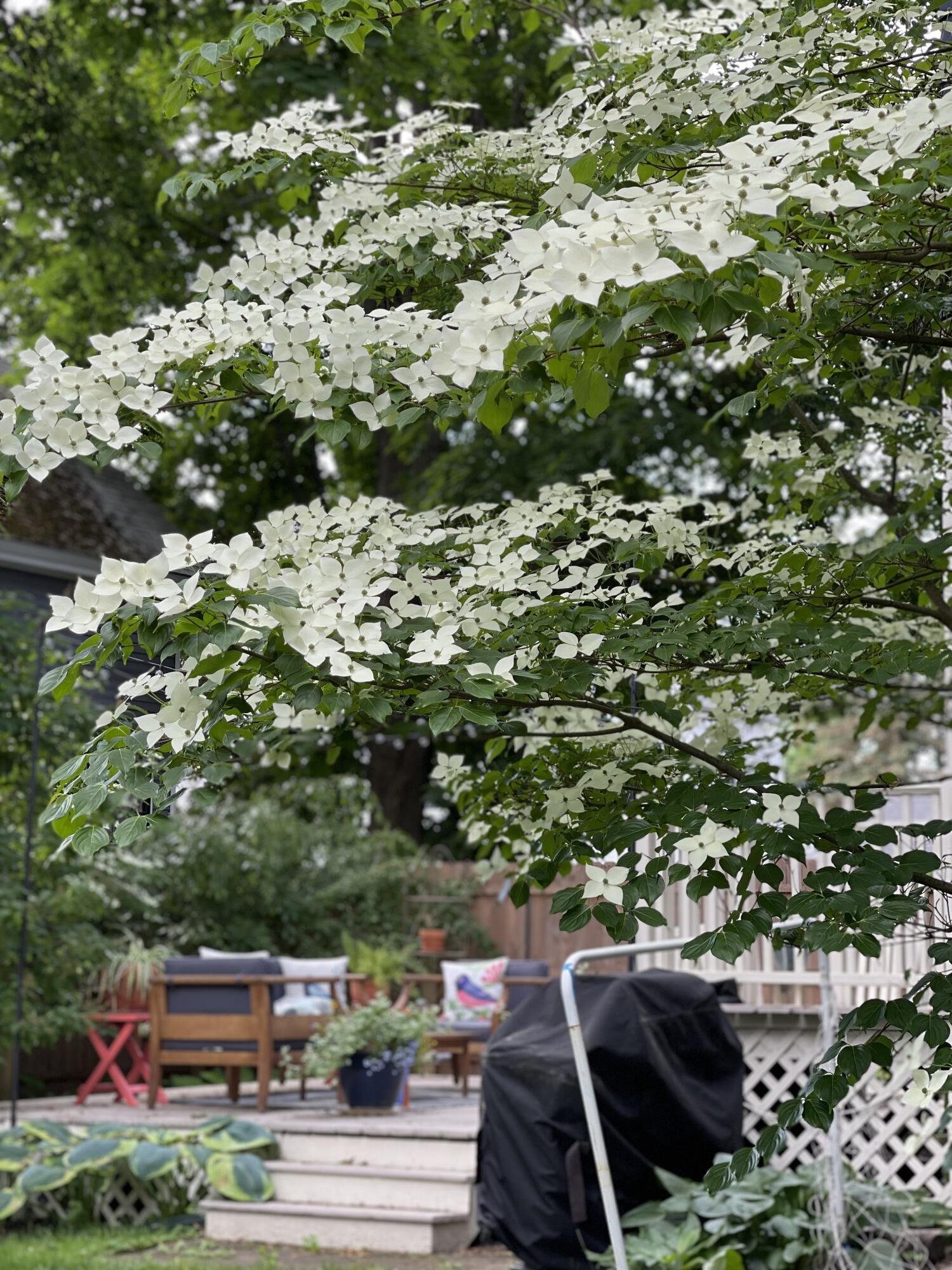 39 Union Street Biddeford, ME 04005 - Photo 23 of 32 IMG_0866