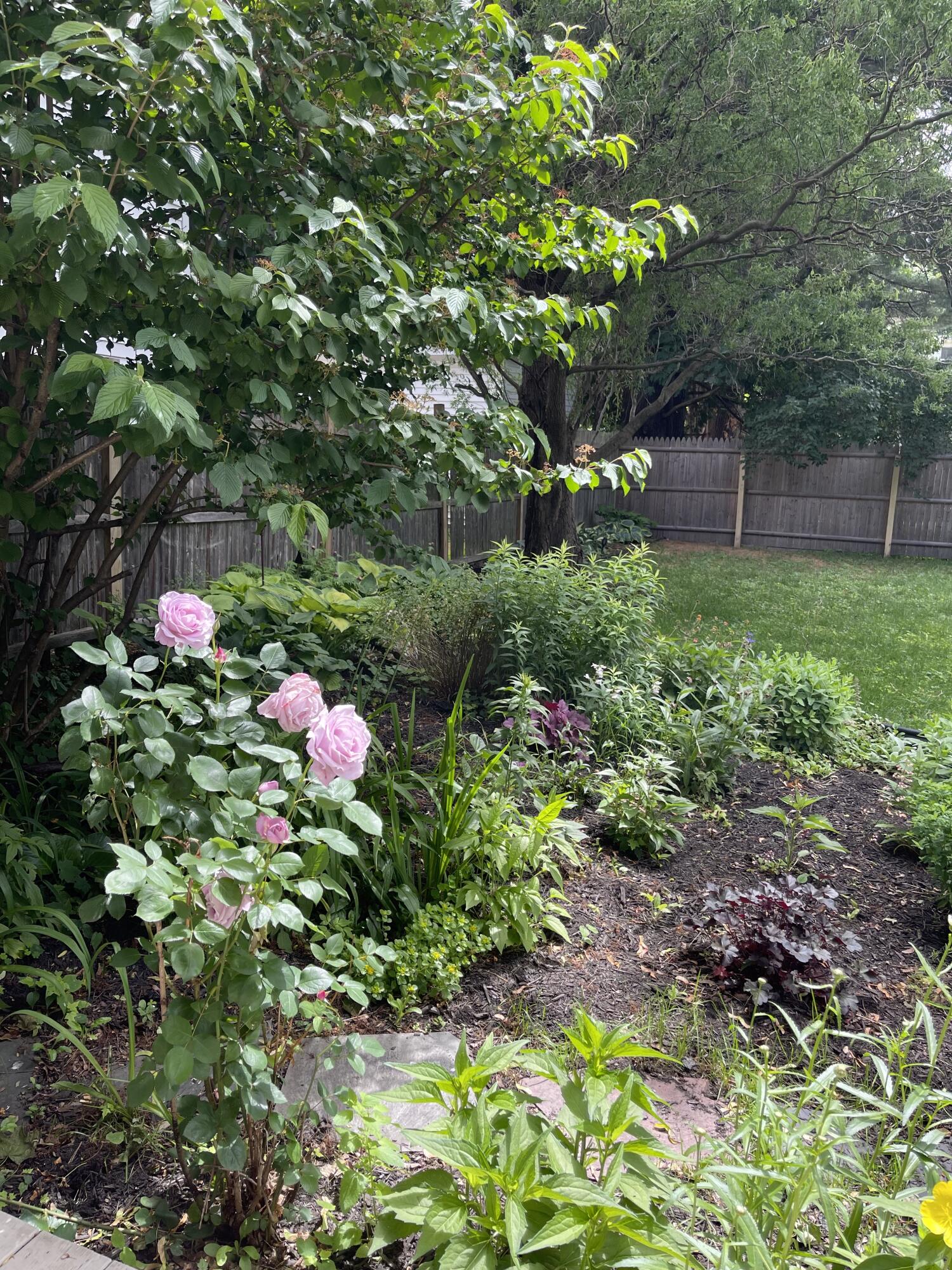 39 Union Street Biddeford, ME 04005 - Photo 25 of 32 IMG_0872