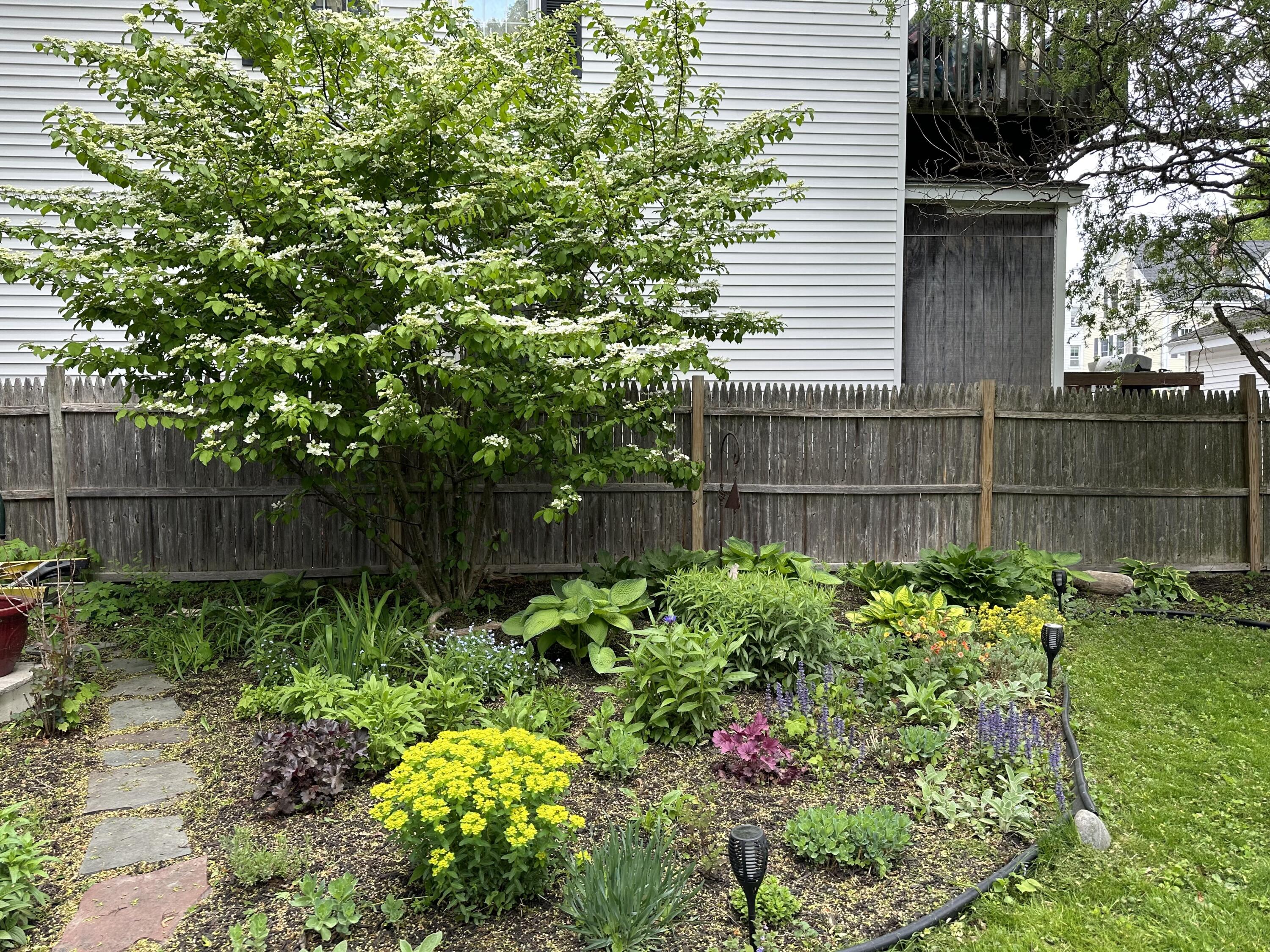 39 Union Street Biddeford, ME 04005 - Photo 26 of 32 IMG_1609