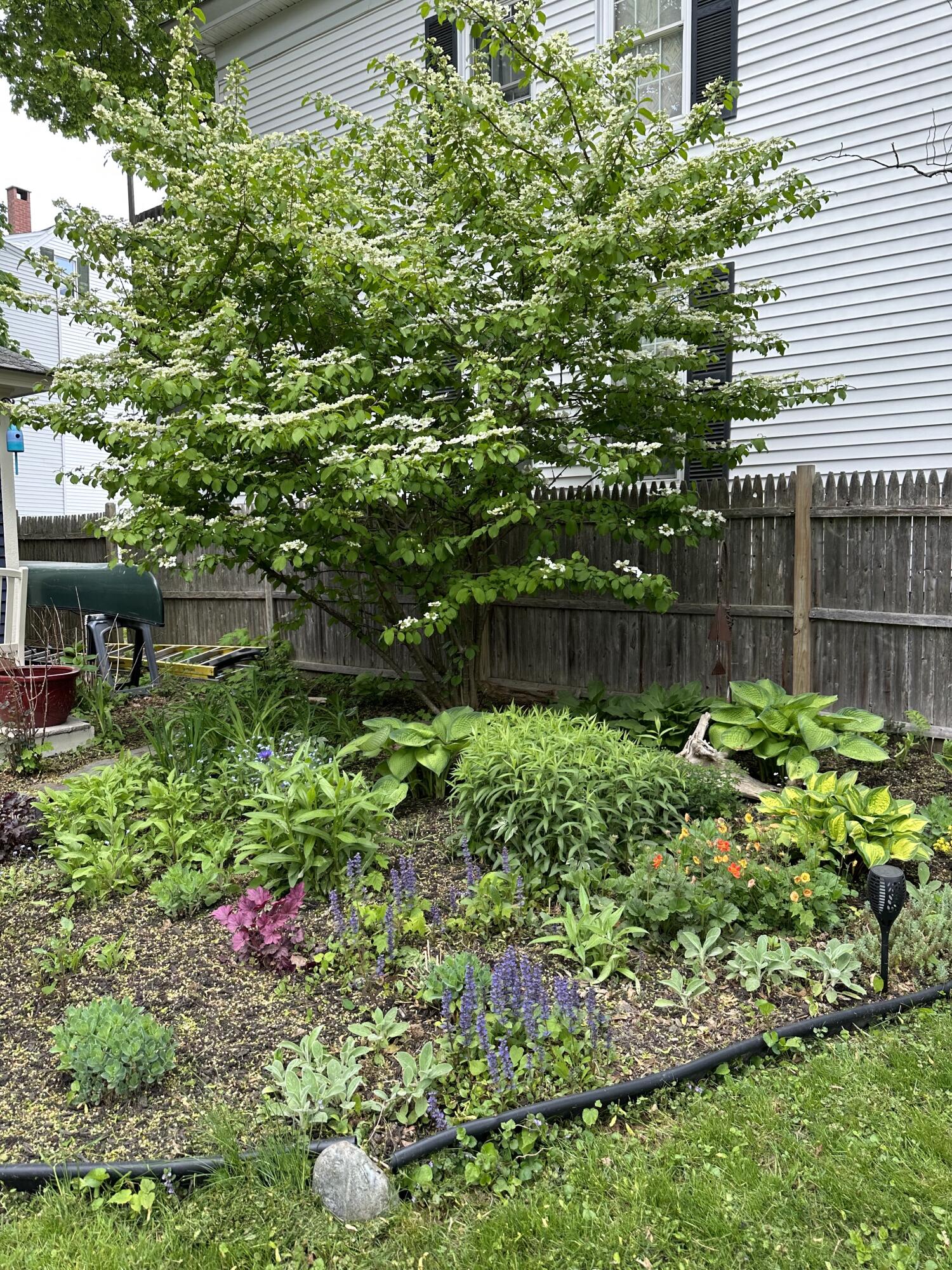 39 Union Street Biddeford, ME 04005 - Photo 27 of 32 IMG_1610