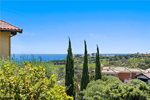 a view of a garden with plants