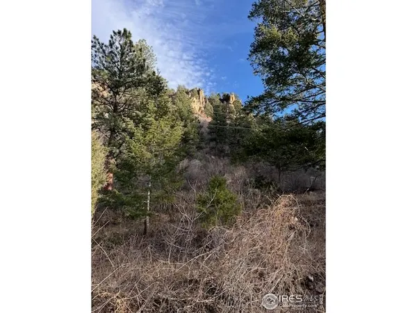 $1,300,000 | 0 Longmont Dam Road, Unit 3, Lyons, CO 80540