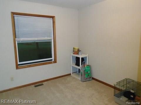 11930 North Latson Road Linden, MI 48451 - Photo 6 of 20 DSC01242.JPG