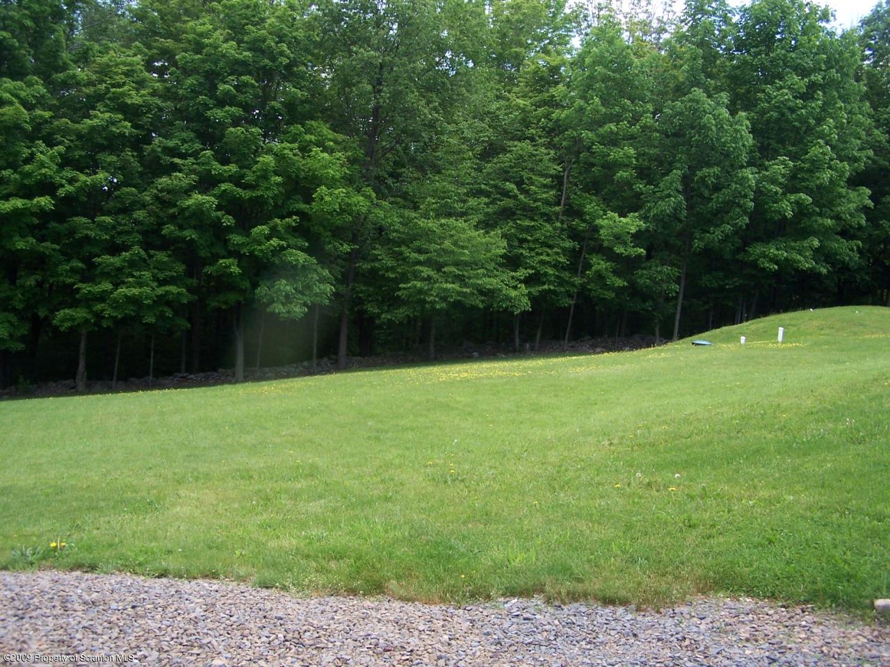 455 Maple Grove Road Factoryville, PA 18419 - Photo 13 of 16 a view of yard with green space