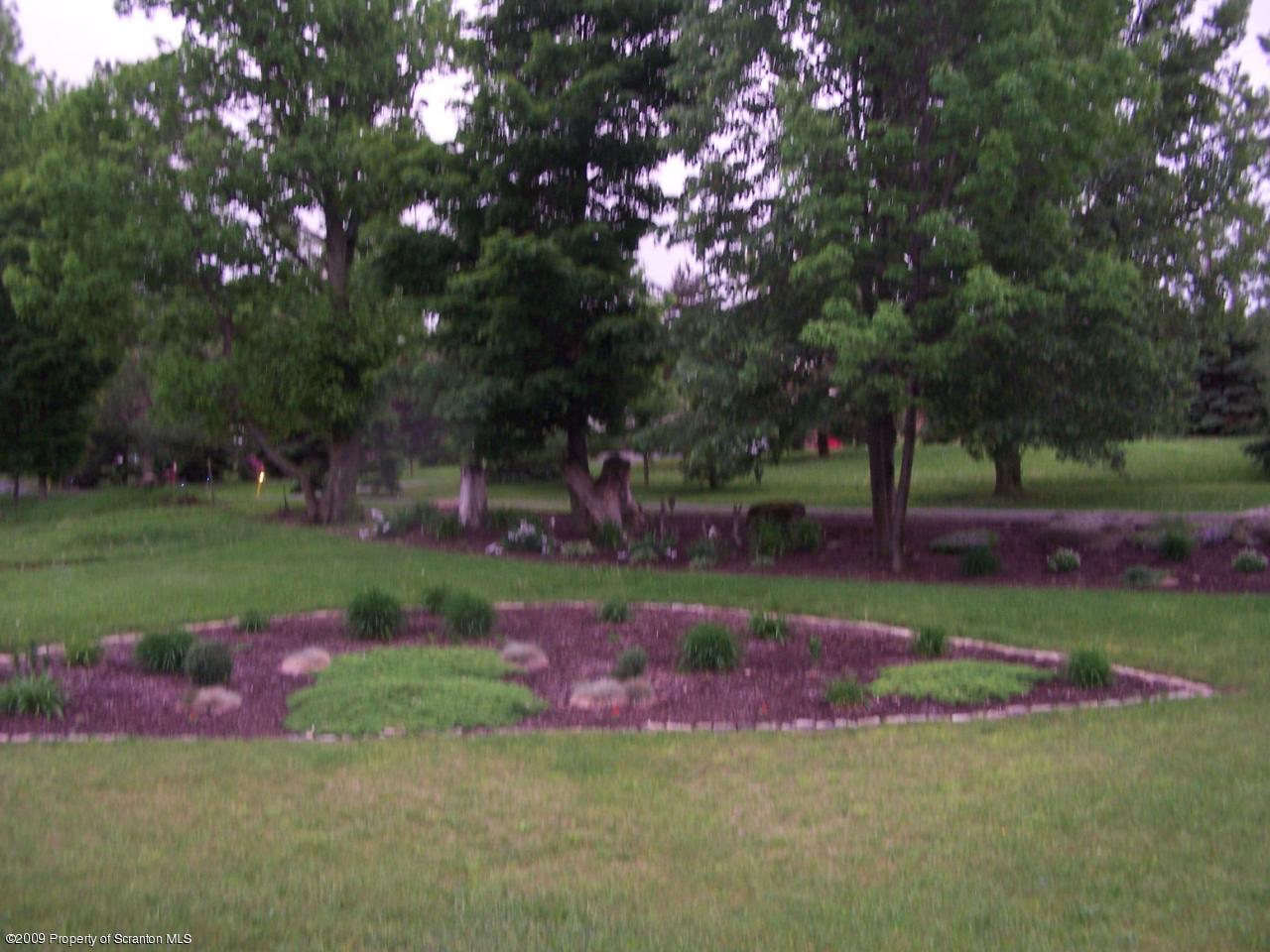 455 Maple Grove Road Factoryville, PA 18419 - Photo 2 of 16 a view of a park with large trees