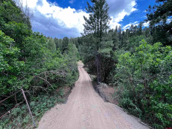 a view of a pathway both side of yard