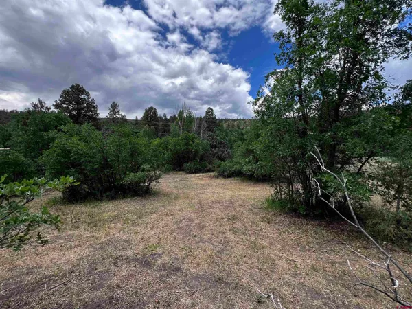 a view of a backyard of the house