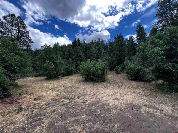 an aerial view of residential house with outdoor space and trees all around