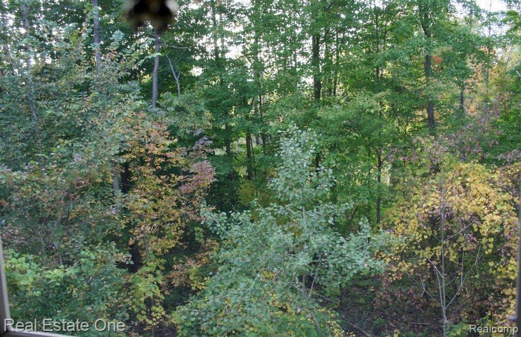 11153 Clark Road Davisburg, MI 48350 - Photo 15 of 22 View from Master Bedroom.jpg