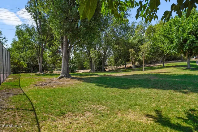 a view of a park with trees and grass