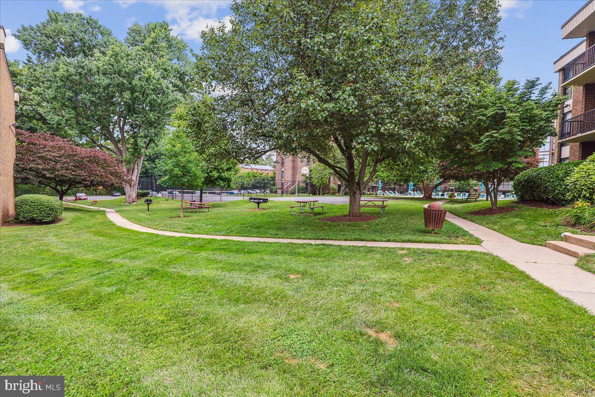 9900 Georgia Avenue, Unit 27613 Silver Spring, MD 20902 - Photo 43 of 47 Picnic Area