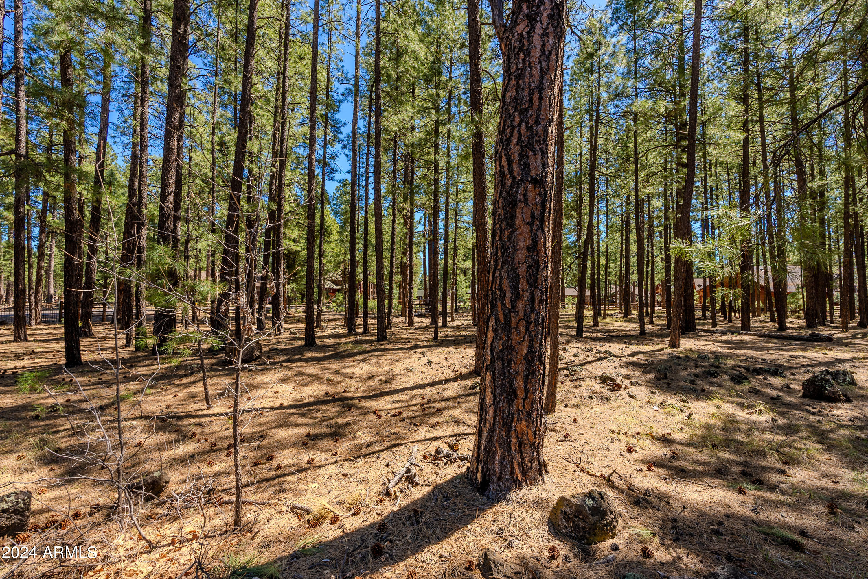 4583 Sky Hi Road Pinetop, AZ 85935 - Photo 17 of 30 4583 Sky Hi-17