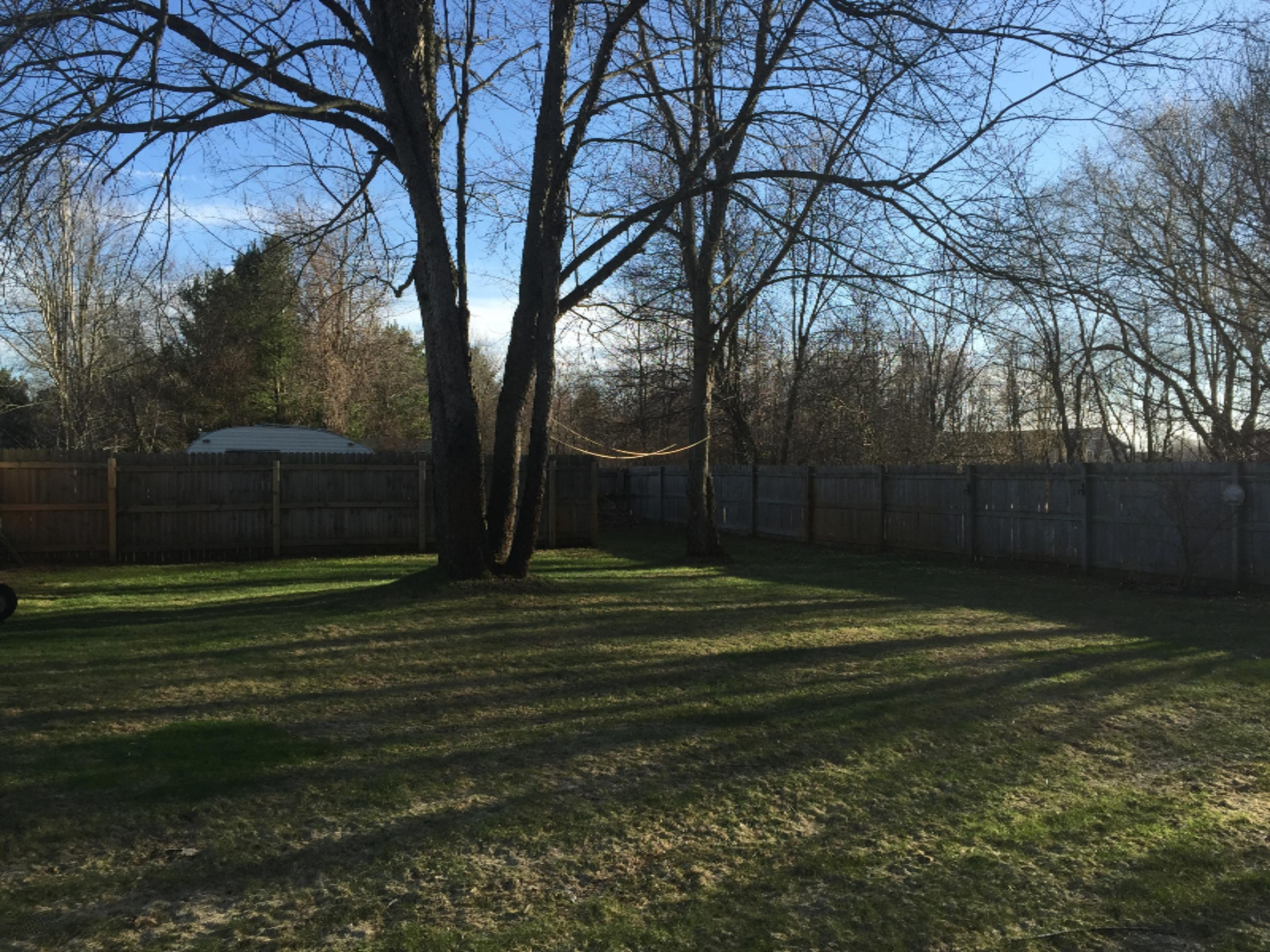 2811 Hamilton Road Muskegon, MI 49445 - Photo 5 of 23 4-Back Yard