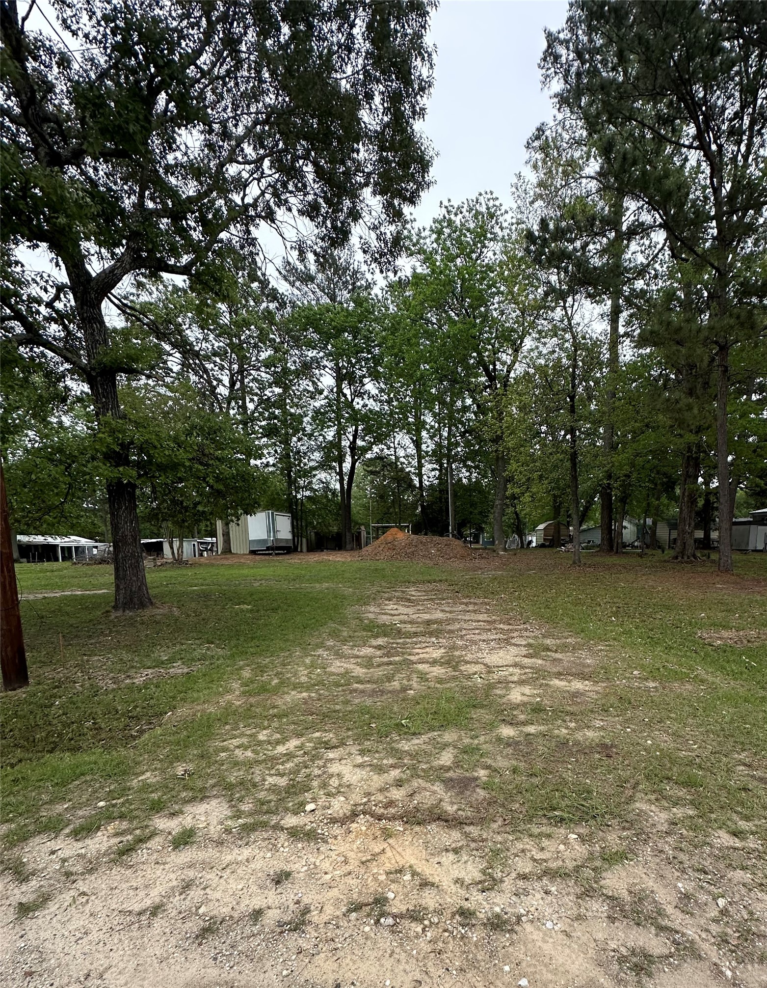 180 Holly Trail Trinity, TX 75862 - Photo 3 of 6