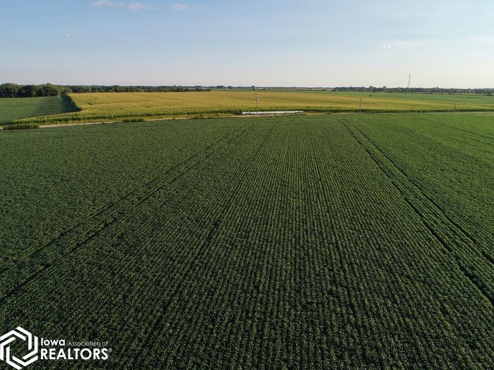 22271 Bluegrass Road Ottumwa, IA 52501 - Photo 11 of 18 Gallery Image 11