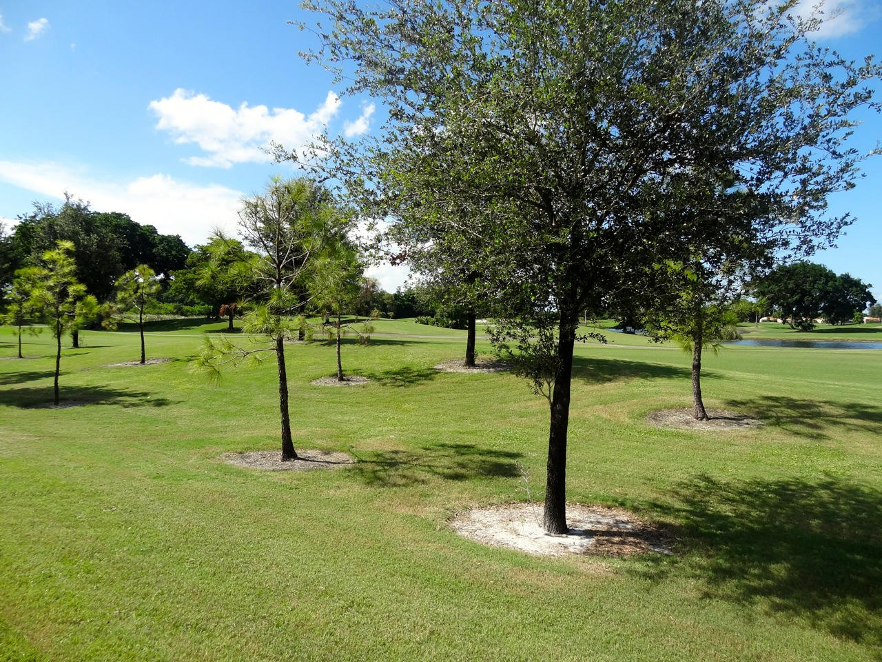 8554 Eagle Run Drive Boca Raton, FL 33434 - Photo 18 of 18 DSC05917