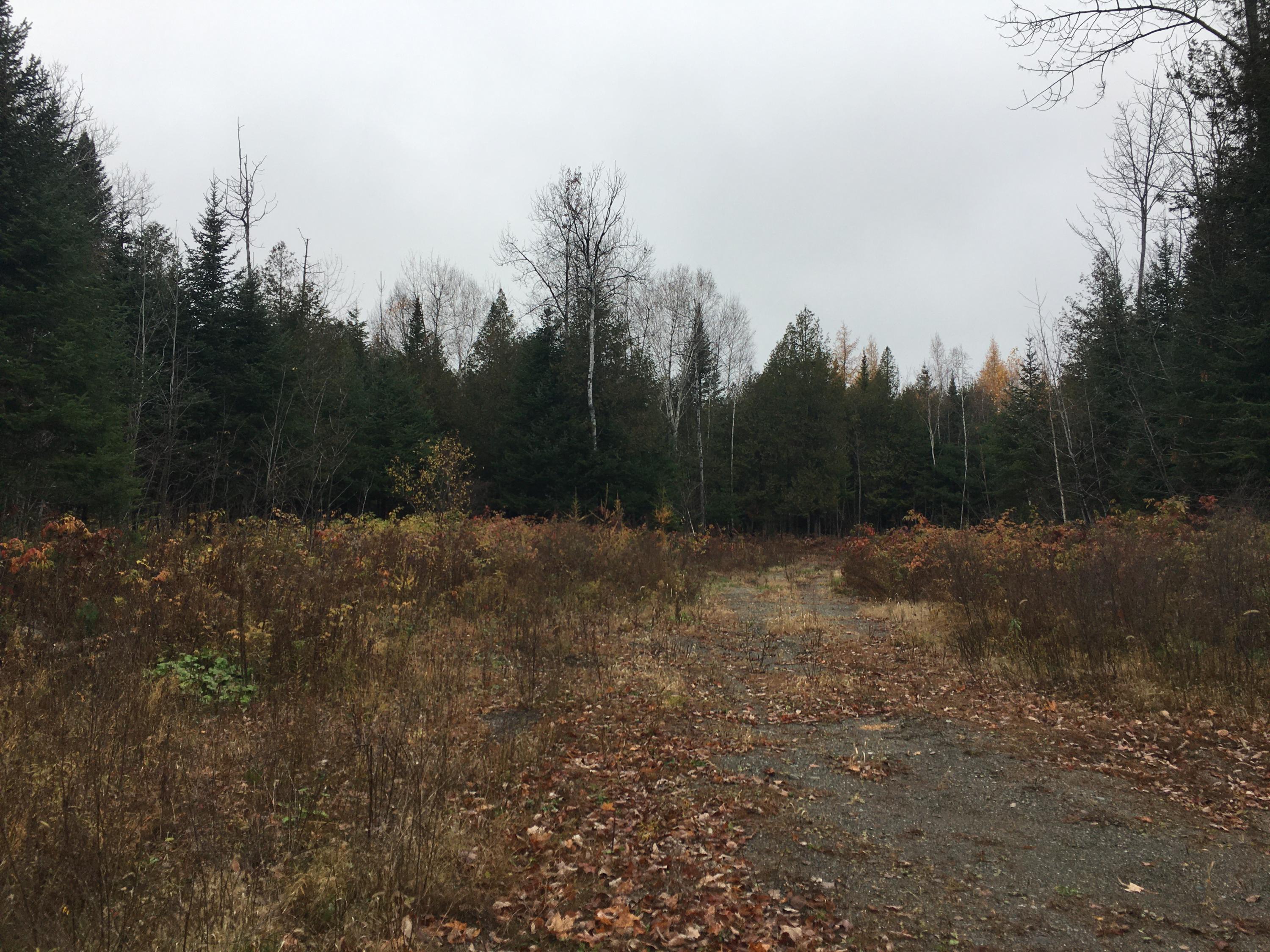 60 Anderson Farm Road Corinth, ME 04427 - Photo 1 of 1 AA Entry