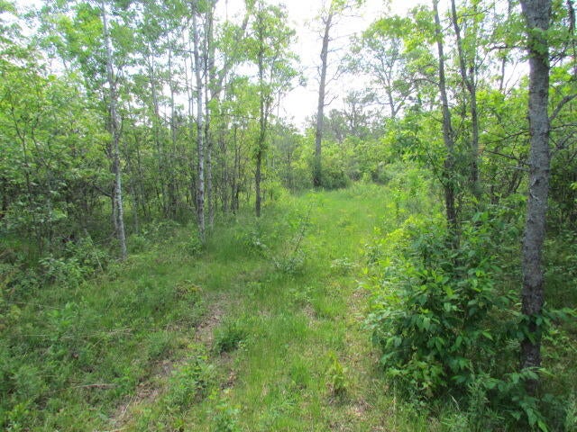 Wilson Way Lewiston, MI 49756 - Photo 11 of 13 Gallery Image 11