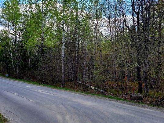 Lot 88 Porter Nadeau Road Eustis, ME 04936 - Photo 20 of 26 346122287_636619398320920_63920641143904