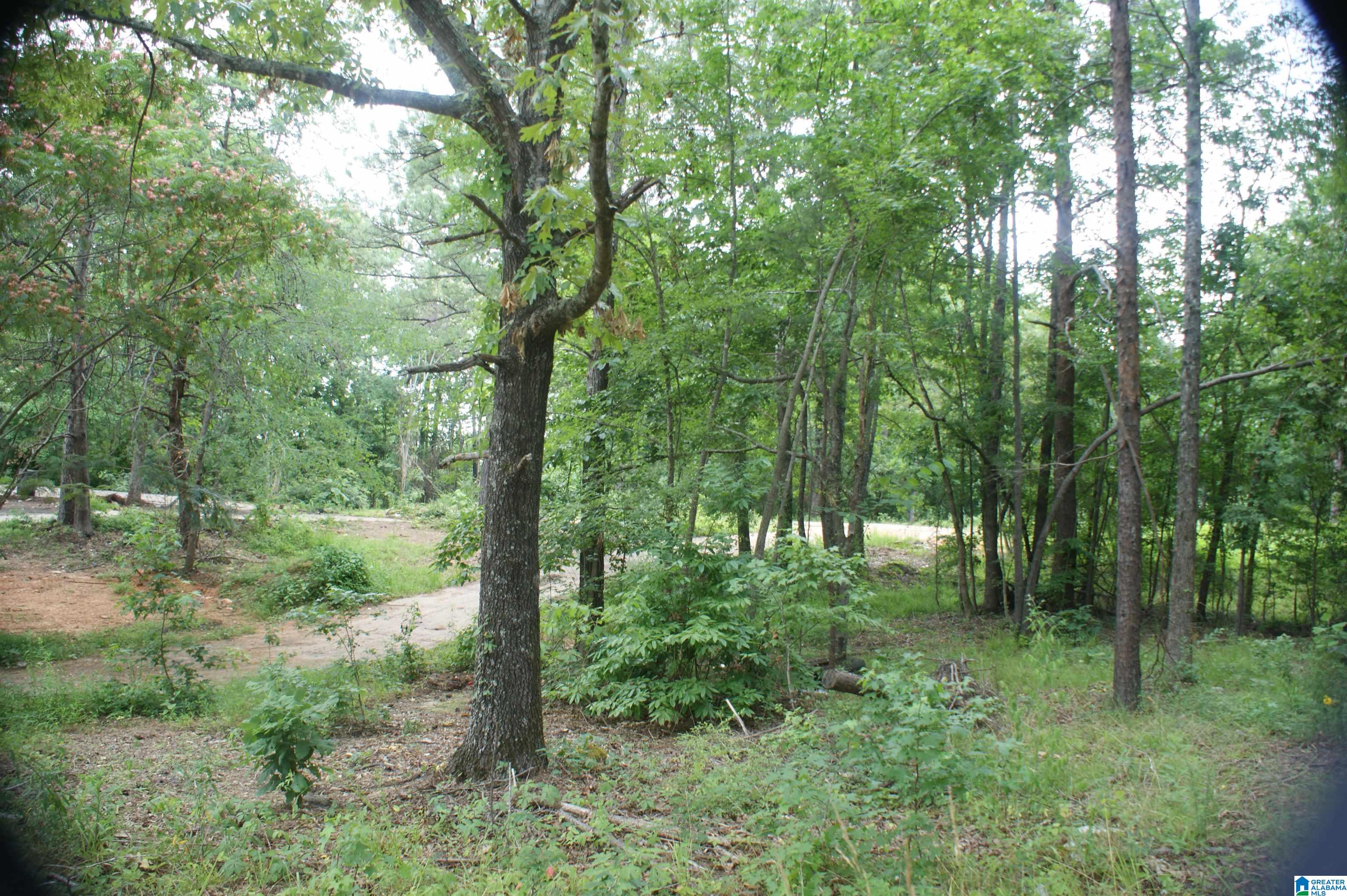 6030 Eastern Valley Road McCalla, AL 35111 - Photo 34 of 34